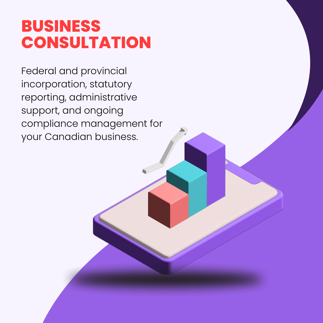 Business Consultation and Setup